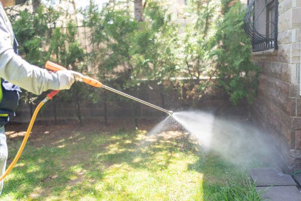 Best Pest Control Near Me in New Prague, MN