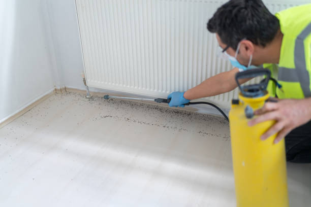 Flea Control Services in New Prague, MN